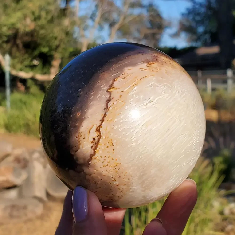 Large Petrified Palm Root Wood Fossil Crystal Sphere Indonesian 714 grams | 82mm